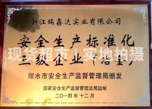 浙江瑞鑫達實業有限公司,安全生產標準化